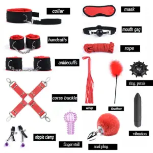 14/10/7-Piece BDSM Bondage Kit - Leather Cuffs, Collar, Gag, Whip, Tail Plug & Vibrator - Couples SM Role-Play Full Set 4