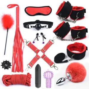 14/10/7-Piece BDSM Bondage Kit - Leather Cuffs, Collar, Gag, Whip, Tail Plug & Vibrator - Couples SM Role-Play Full Set 2