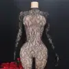 Leopard Lace Fishnet Bodystocking - Deep Open Back Long Sleeve Sheer Bodysuit 1